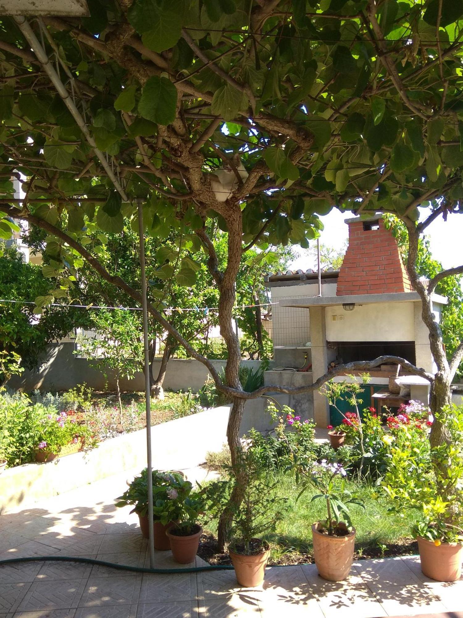 Villa Katarina Losinj Island Mali Losinj Exterior photo